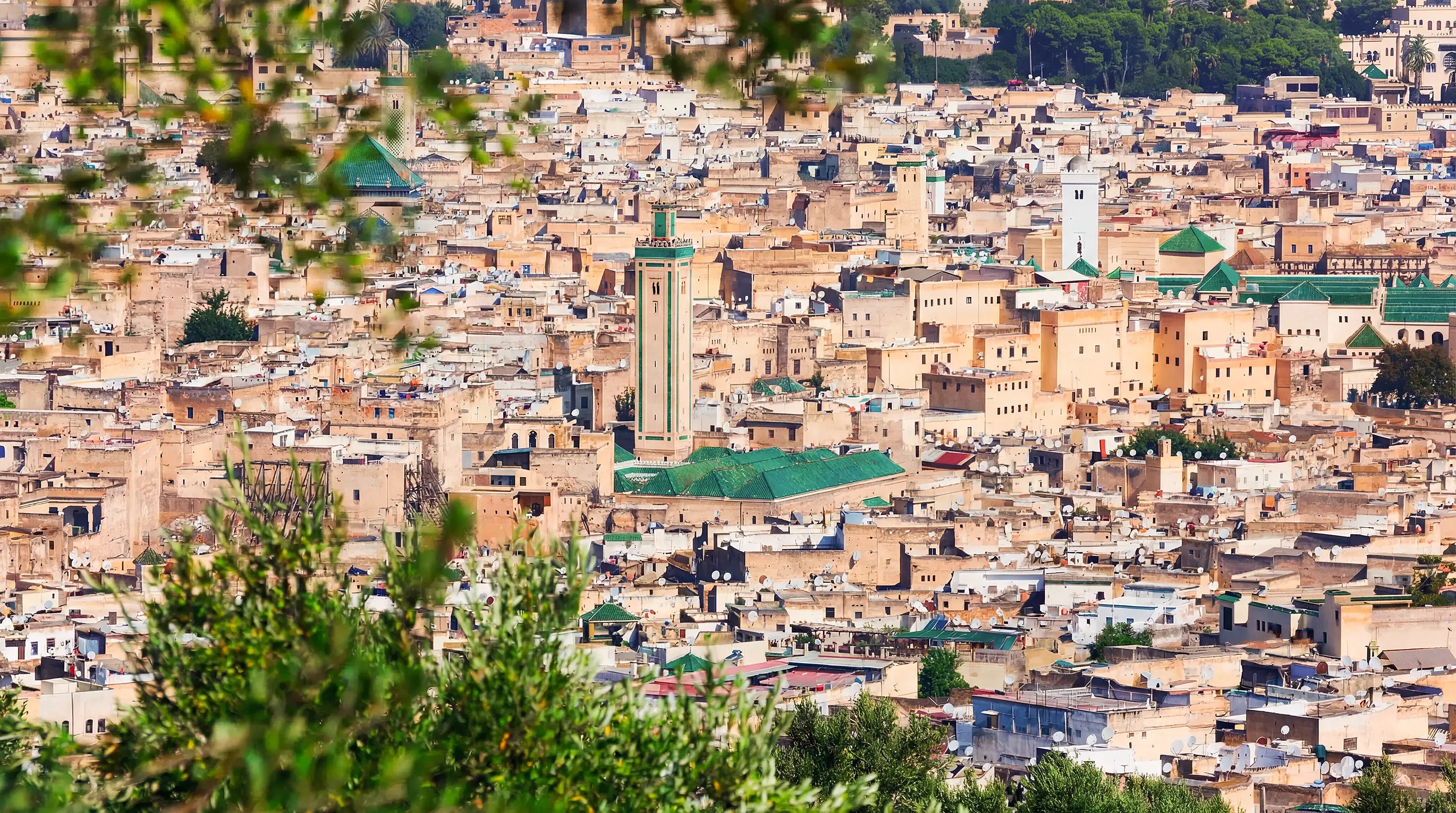 Panoramic view of the Fes medina, with the green-tiled roof and minaret of Al-Qarawiyyin, the world's oldest university, founded in 859 AD, rising from the dense fabric of sandstone buildings, the city where twelve centuries of Fassi leathercraft heritage began and where the Lunburg atelier continues to preserve it.