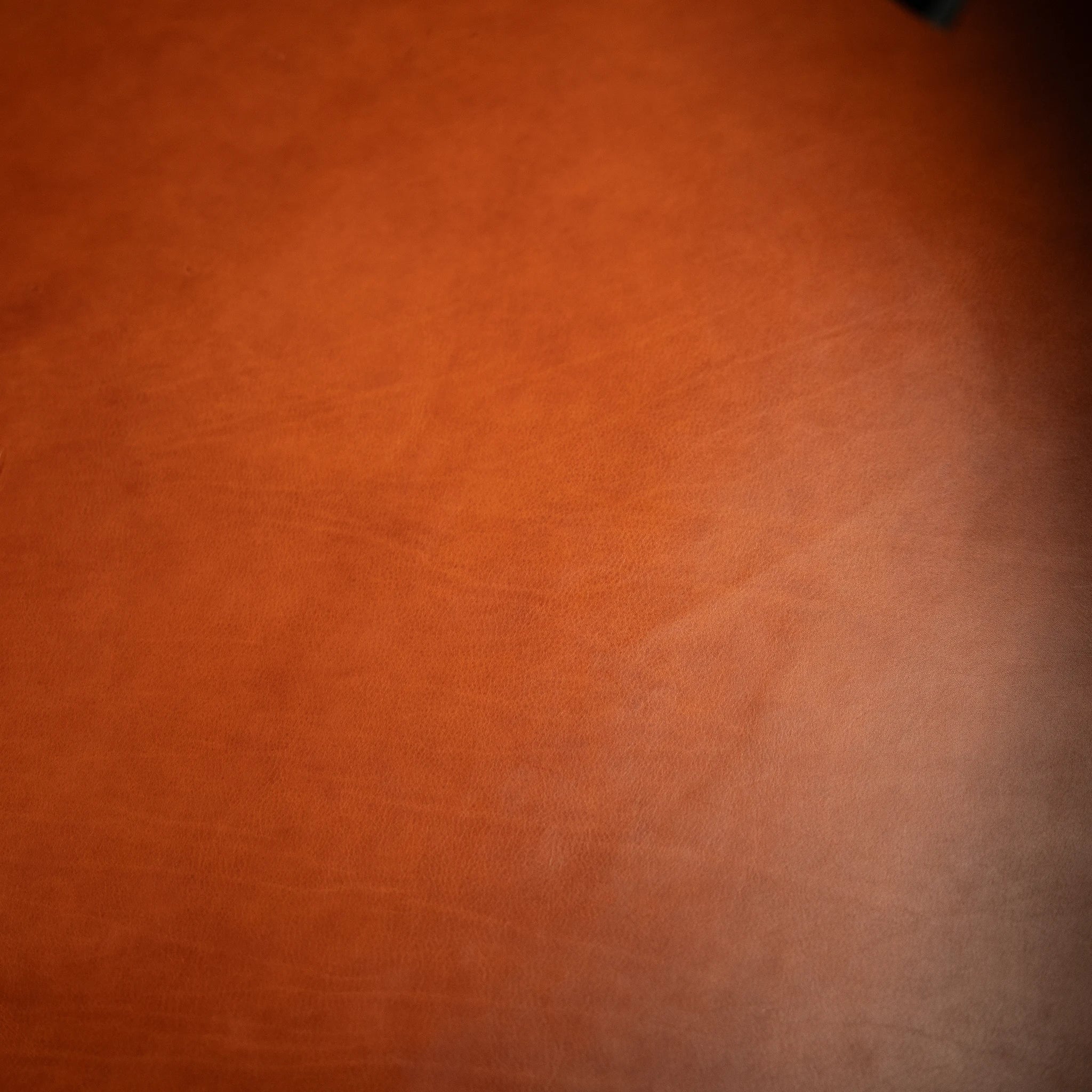 Close-up macro view of vegetable-tanned Perpetual Leather (from Tempesti) in Heritage Amber, showing the warm, saturated hue and fine natural grain that develops through slow barrel dyeing — a process that ensures colour penetrates fully through the hide rather than sitting on the surface.